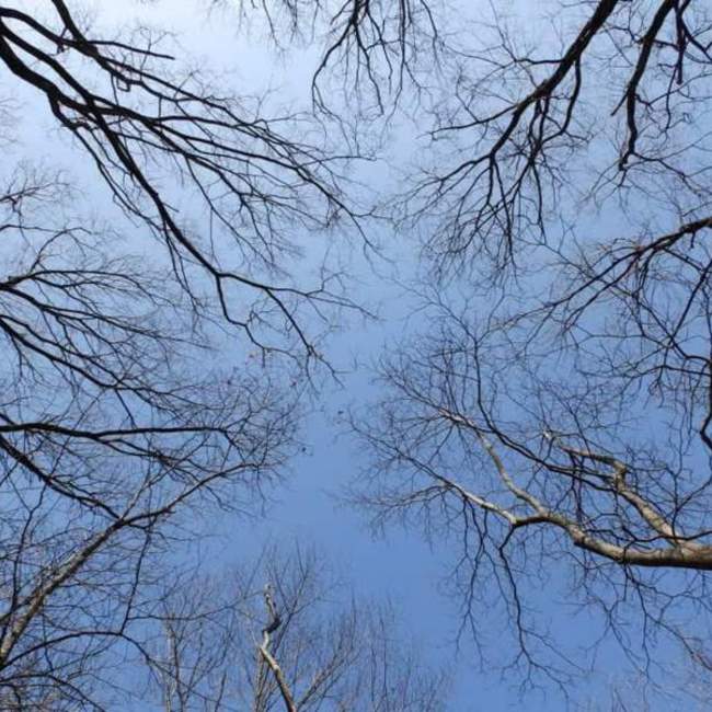 ＊miho＊のカバー写真