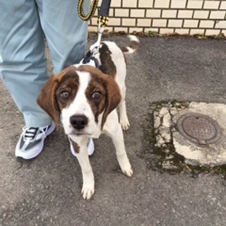 譲渡されたそうです！！