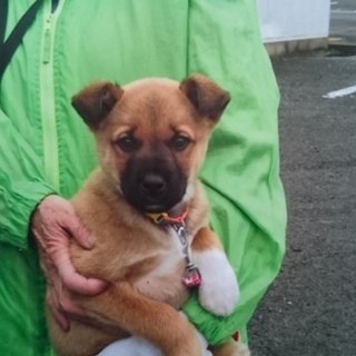 困り顔がかわいい！3か月の男の子です