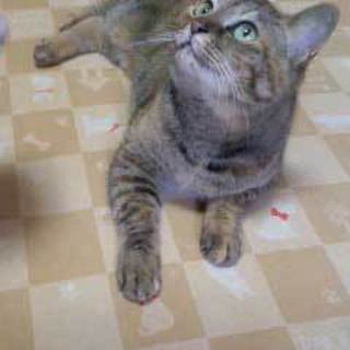 とても人懐こい女の子