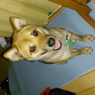 幸せ切符掴みました～(*^.^*)