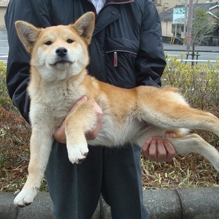 家族ができました！！