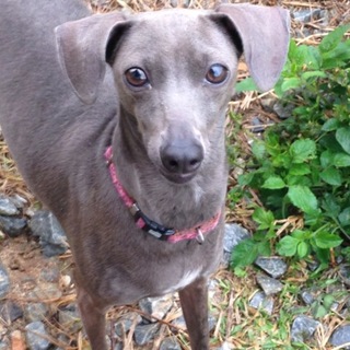 現在お話中のため一時募集を中断させていただきます。