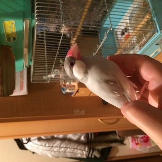 御応募、ありがとうございました！