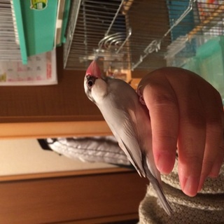 御応募、ありがとうございました！