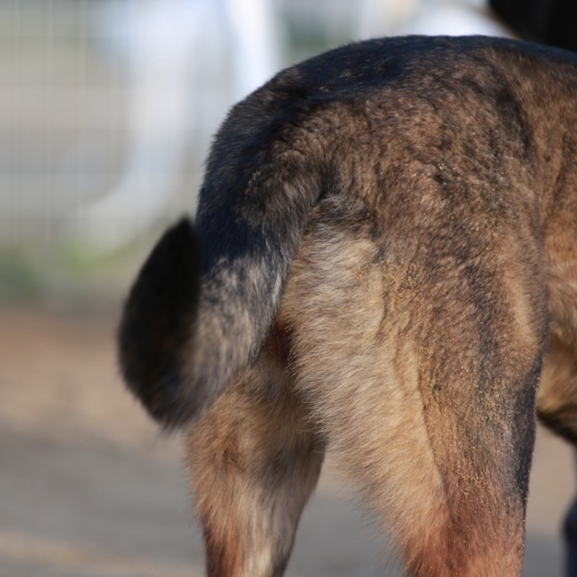 YCD CLUBのカバー写真