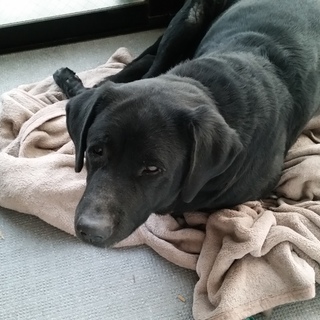 ＲＯＣＫＹです