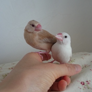 たくさんのご応募ありがとうございました。