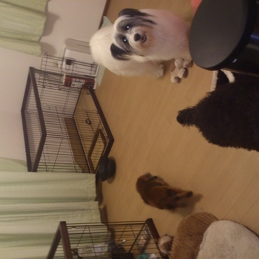 みんなの部屋です。