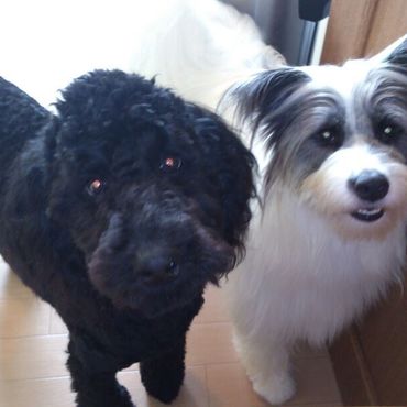 姉弟として仲良く過ごしています☆