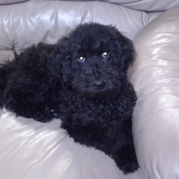 こんなに小さかったんです☆