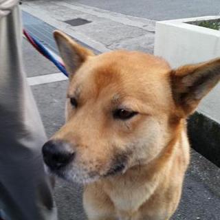 助けて下さい。処分しか道がなくなりました。