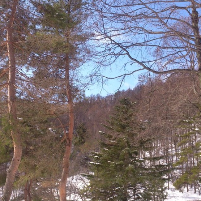 モルモットハウスくにたちのカバー写真