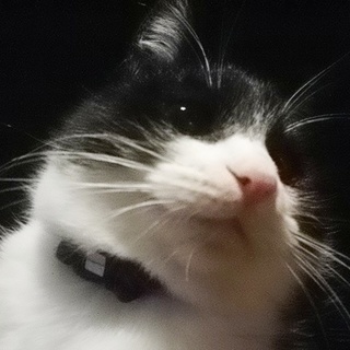 ブギ★ウギ兄弟【ブギ】