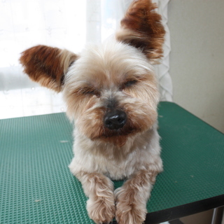 明るく元気で優しいハナちゃんで～す。