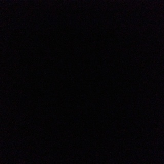 里親決まりました。