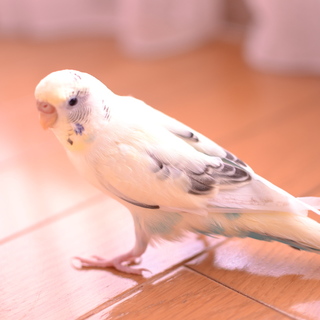 ご応募いただいた方々ありがとうございました！