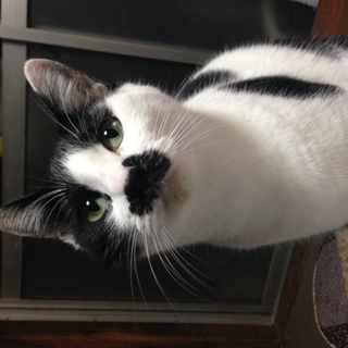 お願いします‼‼