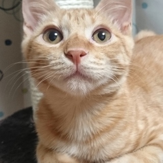 ヤンチャ小僧ここにあり！☆みやじ君