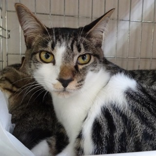 甘ったれ坊や☆ウーロン君