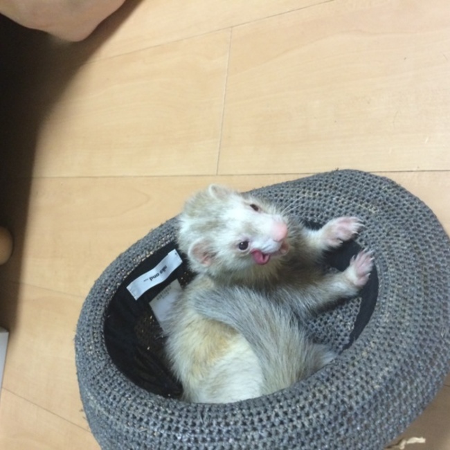 あべくすのカバー写真