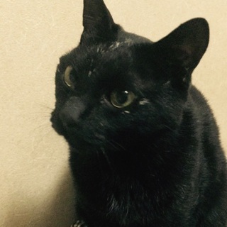 寂しがりやの甘えん坊