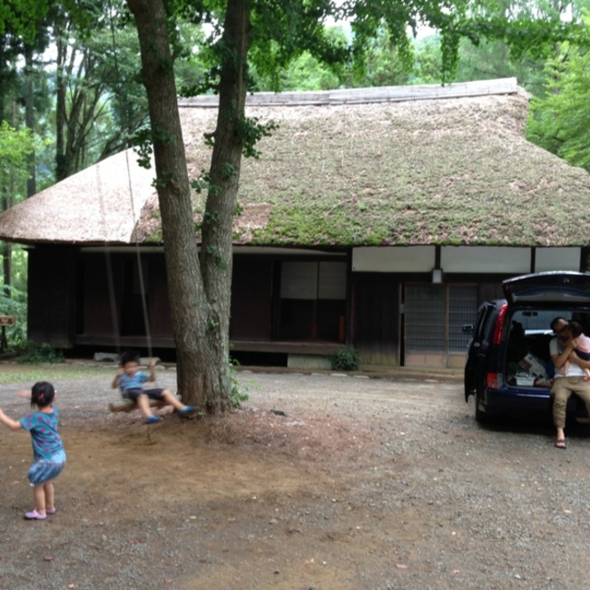 楓の葉のカバー写真