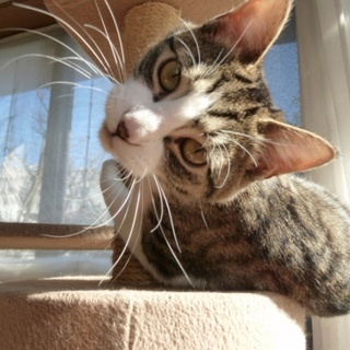 ありさはエイズキャリアだから幸せにはなれないの！