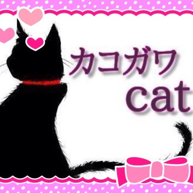 カコガワcatのカバー写真