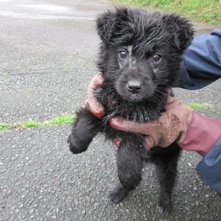 譲渡されました！！