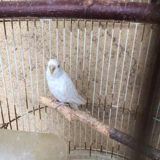 ご応募ありがとうございました。