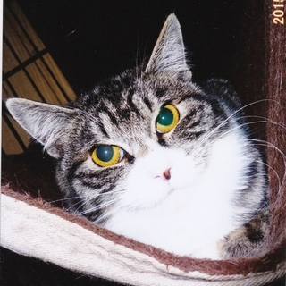 うずちゃんは優しい子です