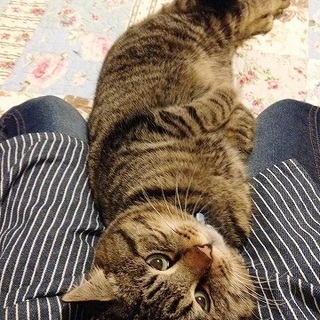 でっかい甘えん坊「大吉」です