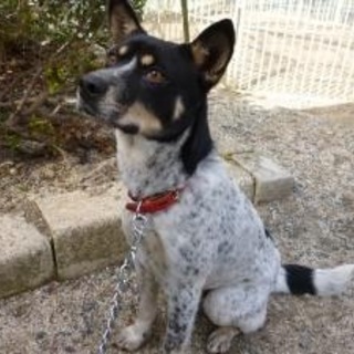 処分回避‼︎miwaちゃん＊