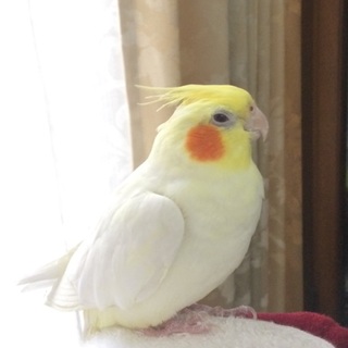 多数の温かいお声掛けありがとうございました。