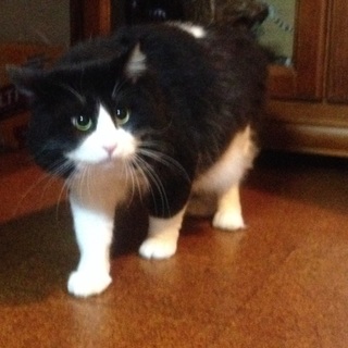 募集一時ストップ