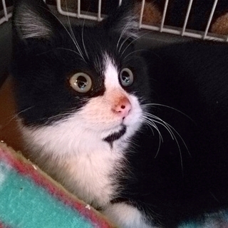 白血病陽性だけど元気いっぱい大地君