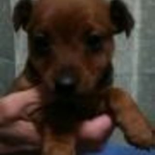 私を助けて下さい