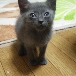 一生涯、見てやって下さい