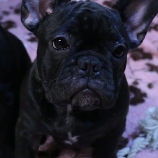 生後5か月の女の子です☆彡