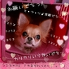 ココナッツ