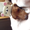 こっつん