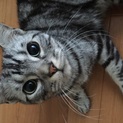 甘えん坊レオンちゃん