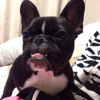 ベニ