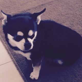 たくさんのご応募ありがとうございました。