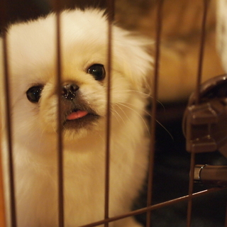 交渉の為一旦終了します。