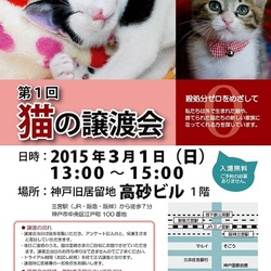 「譲渡会終わりました。」サムネイル3