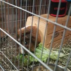 おやつおやつ♪