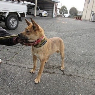 この子の命を救ってください。