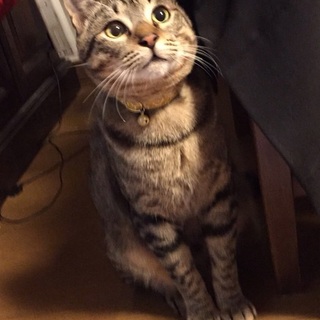 ぽったです。嵐の中、必死で助けを求めていました!!